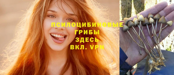 первитин Алексин