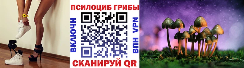 ссылка на мегу tor  Перевоз  Псилоцибиновые грибы Magic Shrooms 