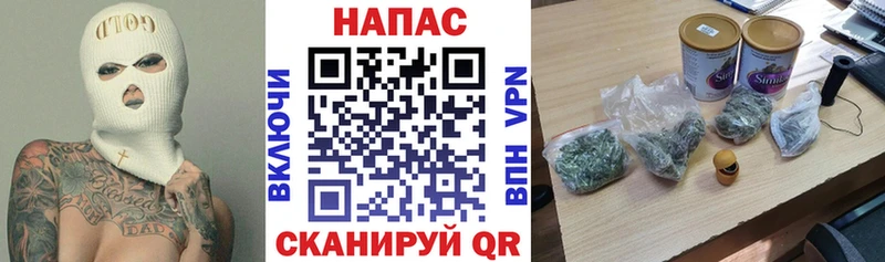 Конопля гибрид Перевоз
